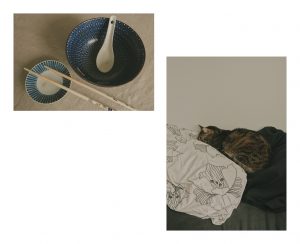 Kaksi kuvaa: kaksi tyhjää lautasta ja kissa nukkumassa